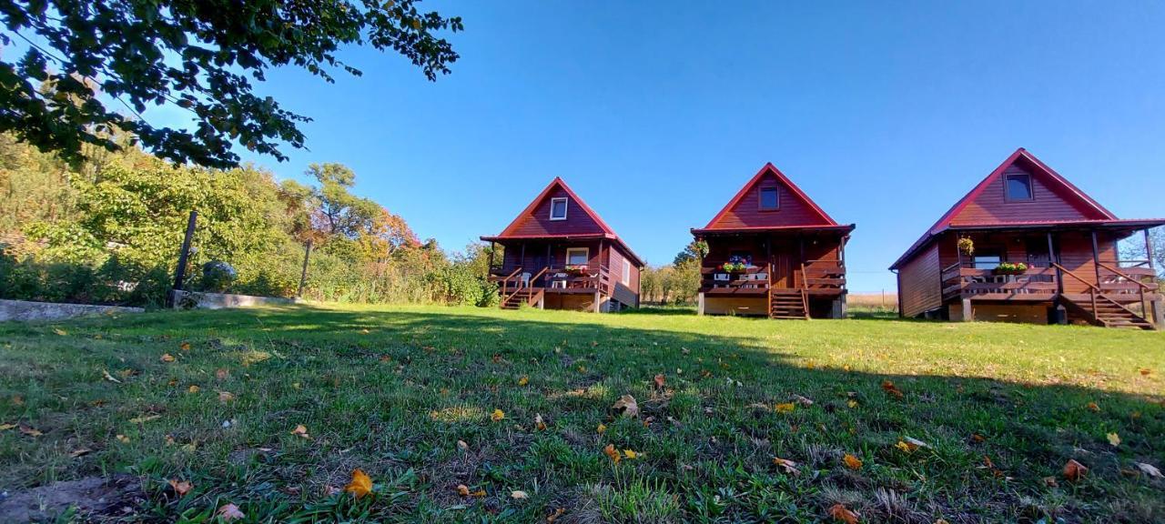 Ferienwohnung Pod Kasztanem Lubin  Exterior foto